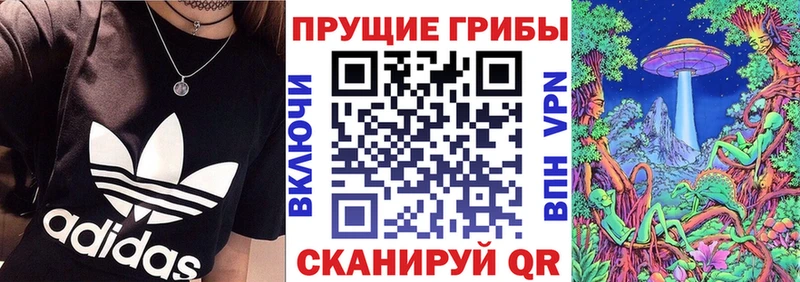 Галлюциногенные грибы Psilocybe  мега   Лодейное Поле  дарк нет какой сайт  наркота 